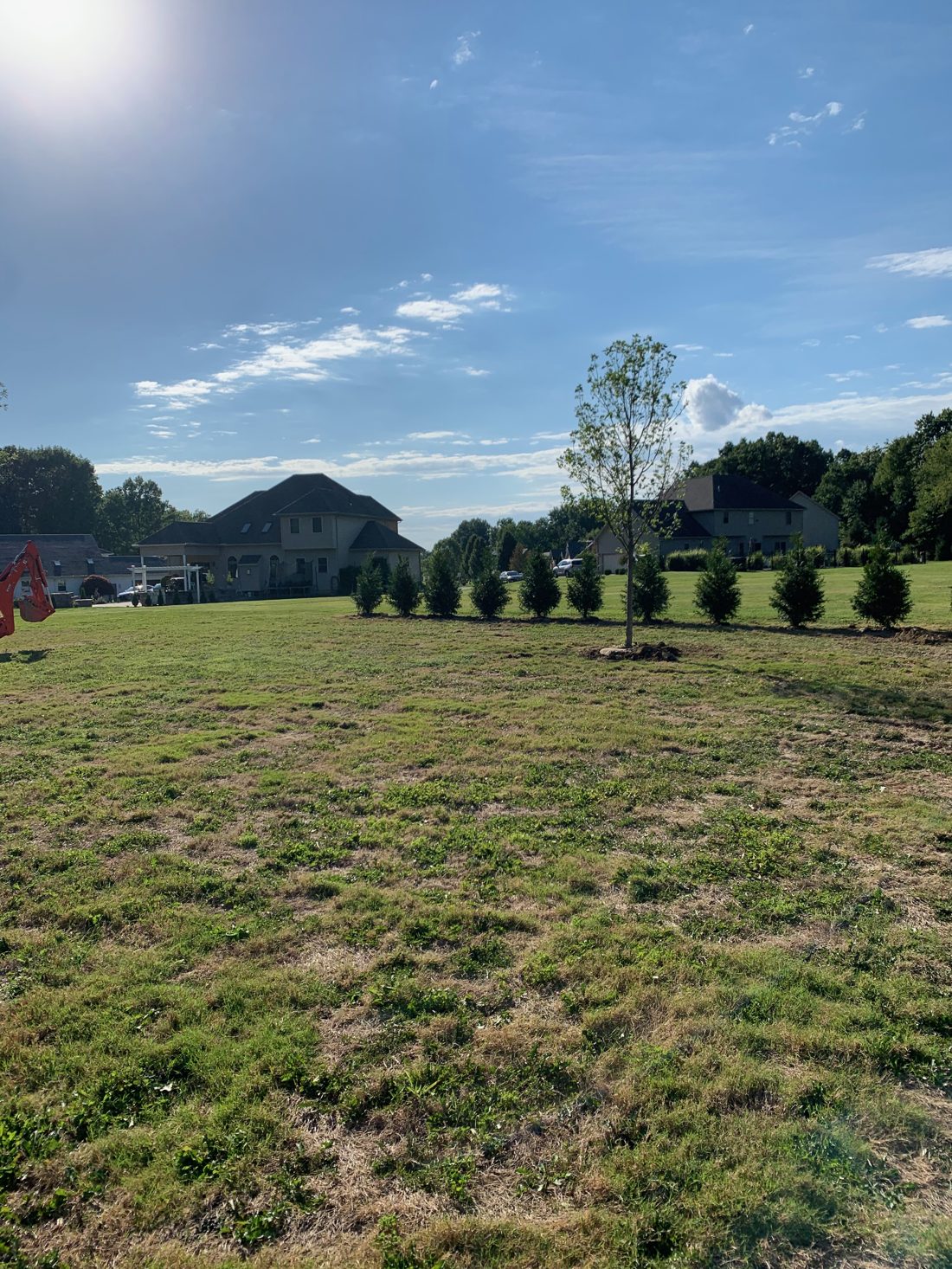 Before — landscape install August 2020