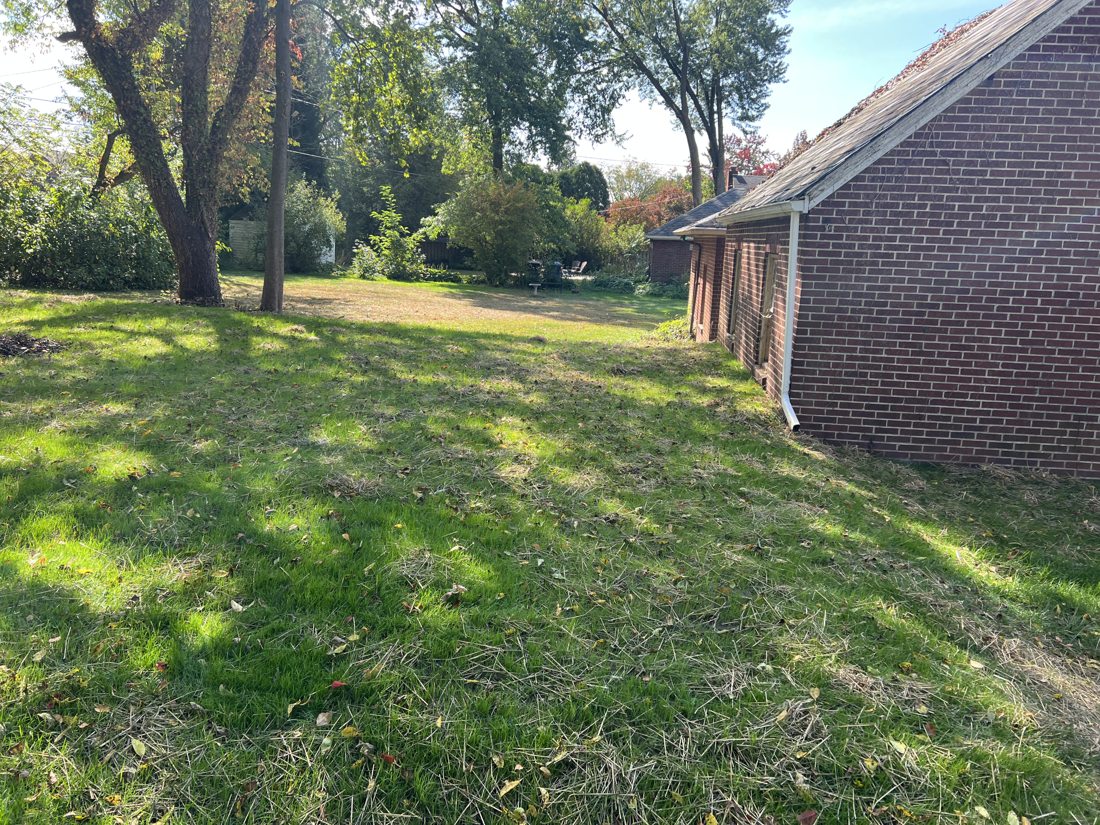 After — clean lawn grown back in