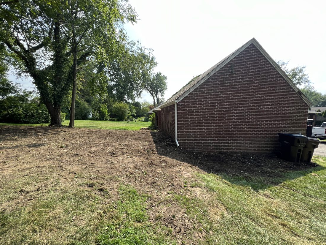 During — cleared to bare ground