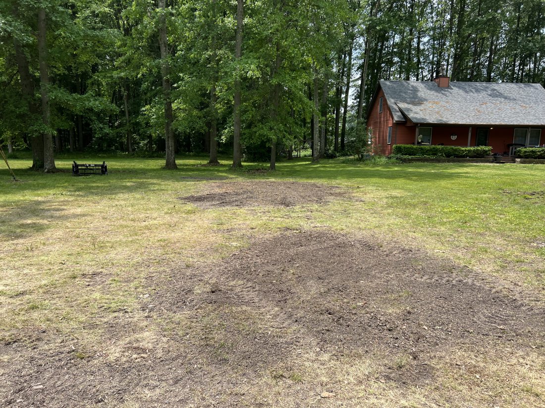 After — cleared and regraded yard