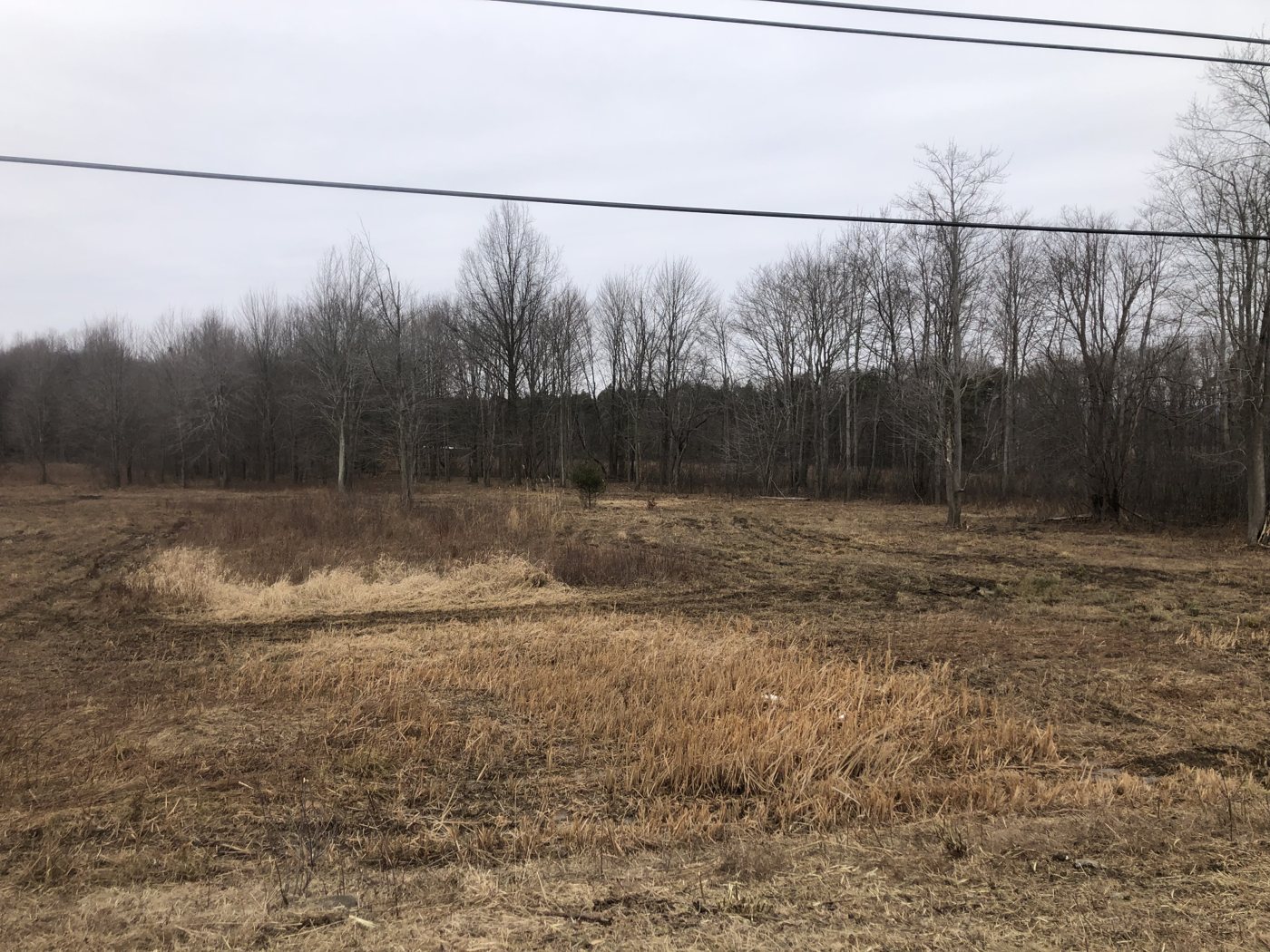 Recent Clearing & Grading — AAA Property Services