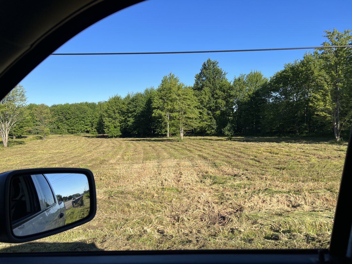 Recent Clearing & Grading — AAA Property Services