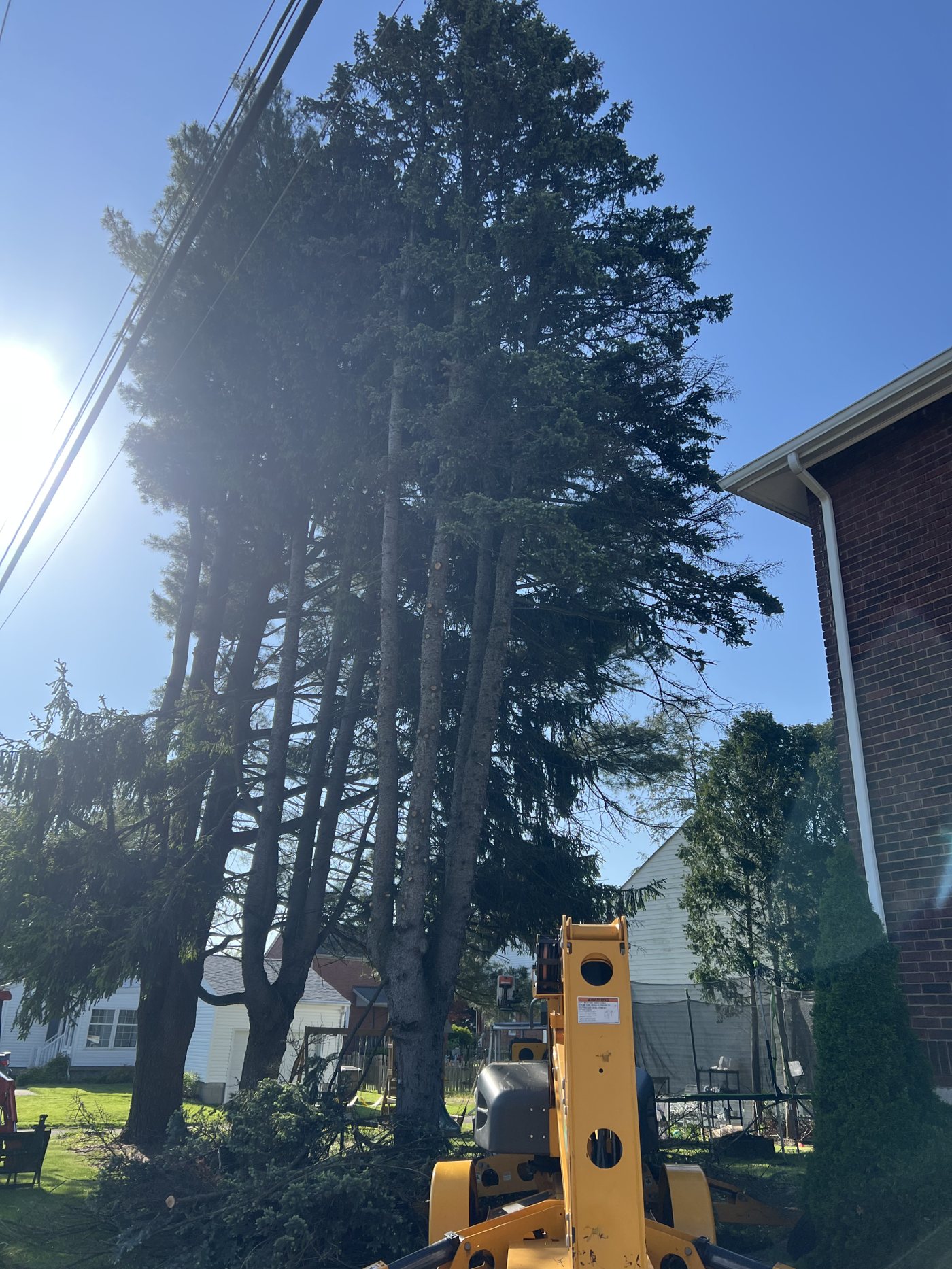 AAA tree work — During