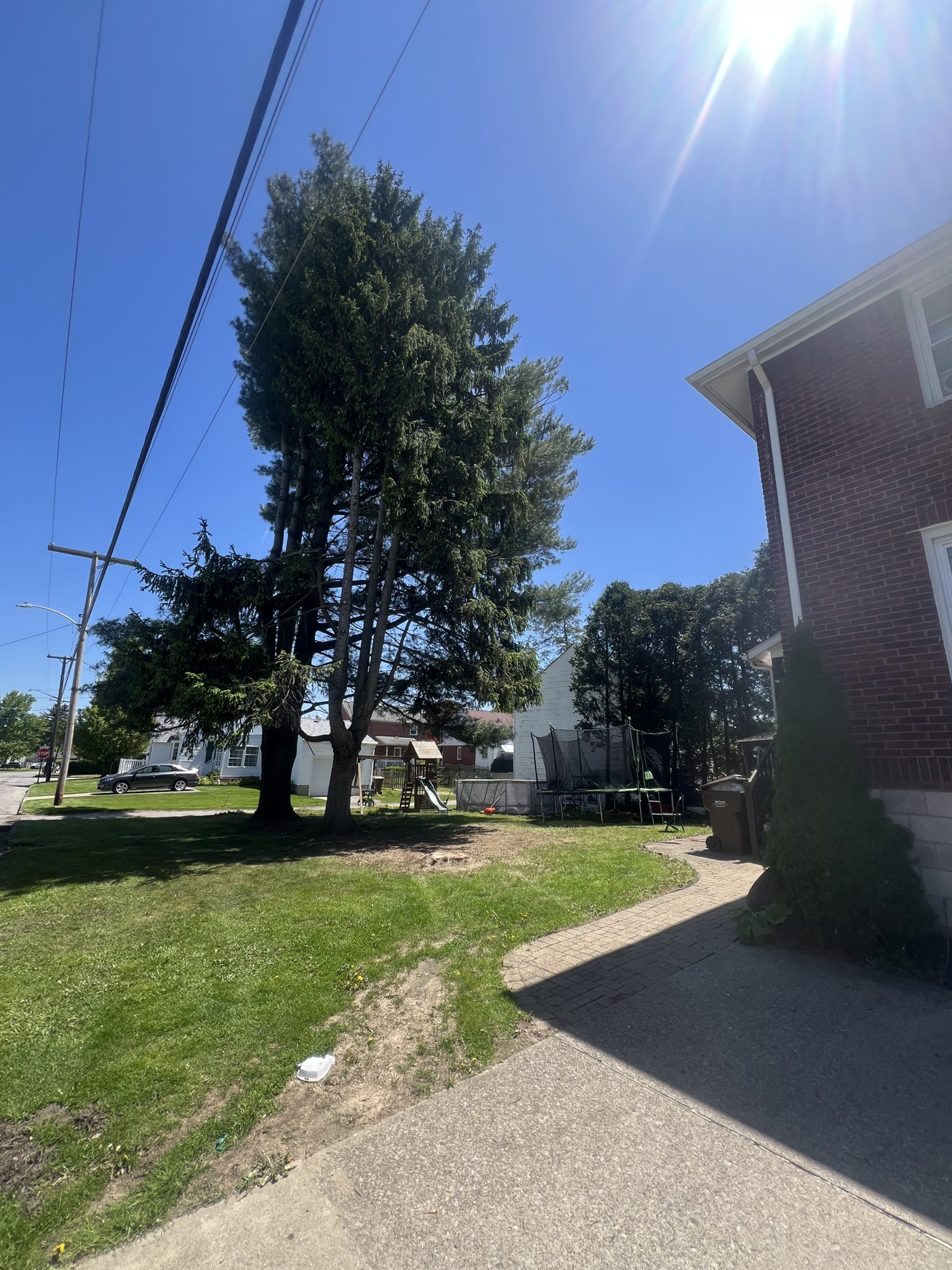 AAA tree work — After