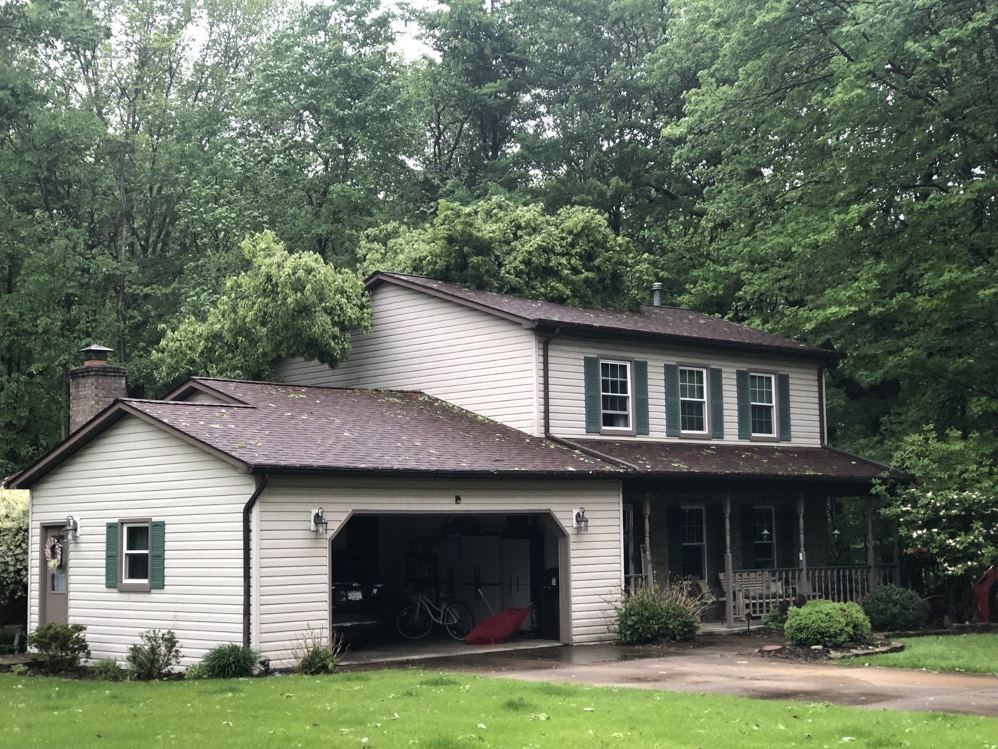 AAA tree work — Before