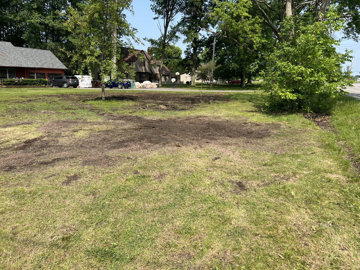 AAA tree work — After