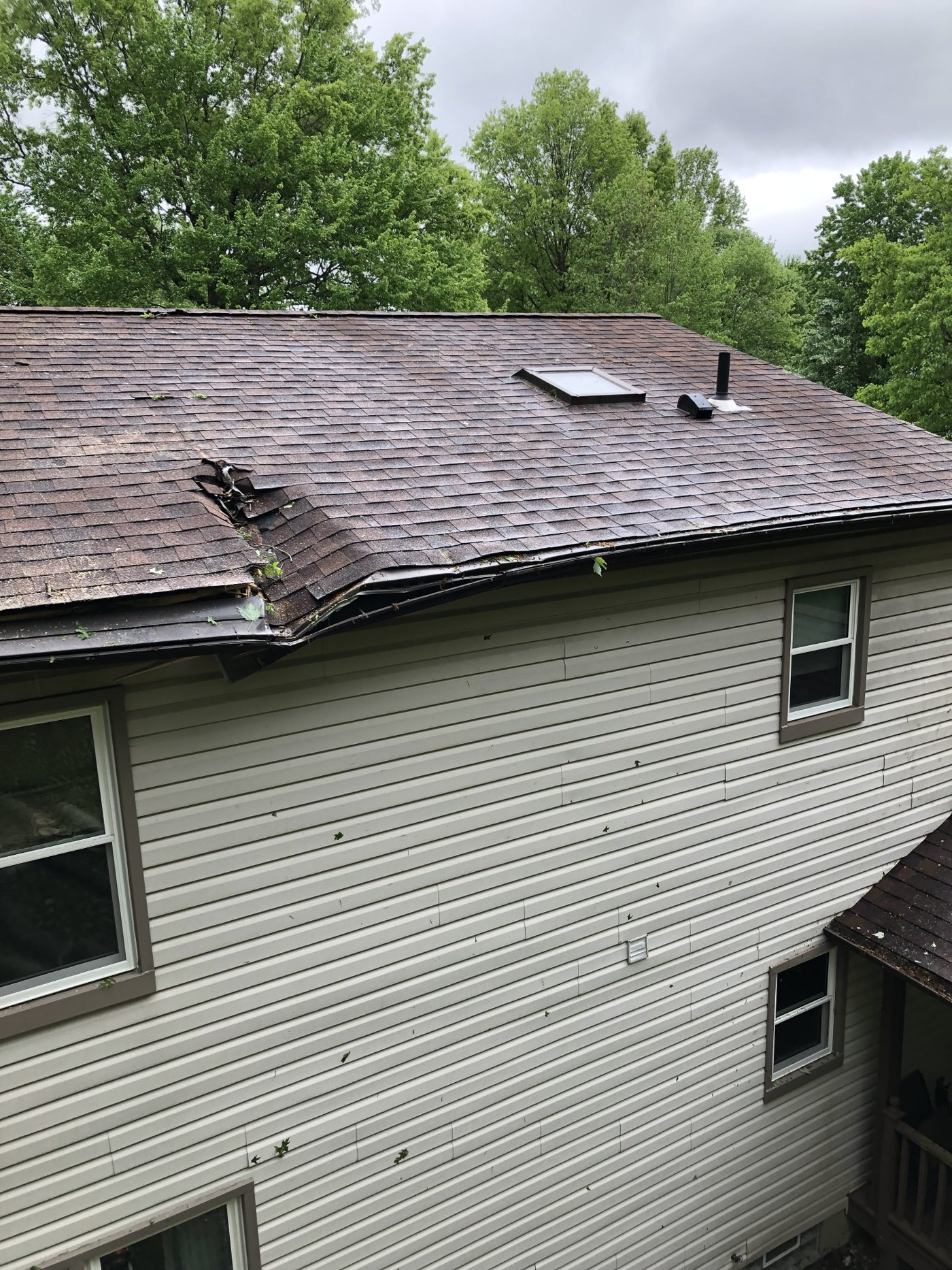 AAA tree work — After
