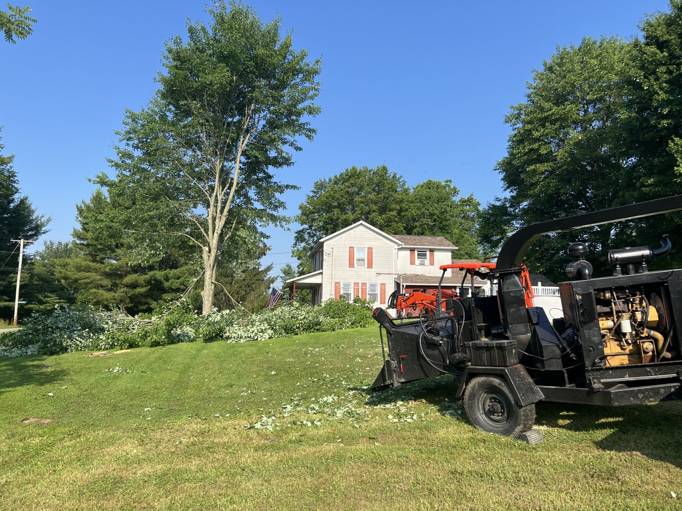 AAA tree work — Before