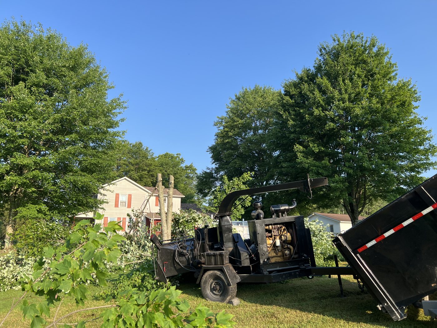 AAA tree work — During